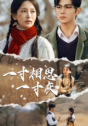 一寸相思一寸灰（43集）最火爆的短剧