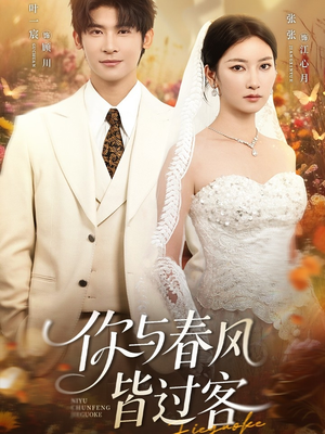 你与春风皆过客（66集）迅雷网盘观看