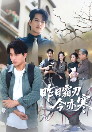 昨日霜刃今亦寒（80集）去哪里看