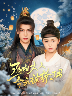 丞相大人今天被撩了吗（80集）热门短剧免费看