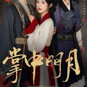 掌中明月（60集）最新热剧免费看