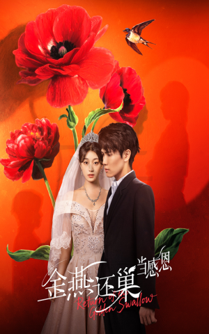 金燕还巢当感恩（55集）免费看全集