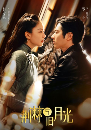 荆棘与旧月光（80集）河马免费短剧