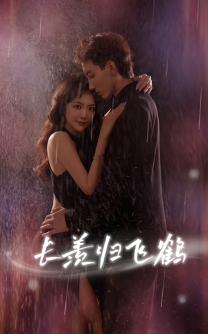 长羡归飞鹤 (70集)深深爱上这部剧