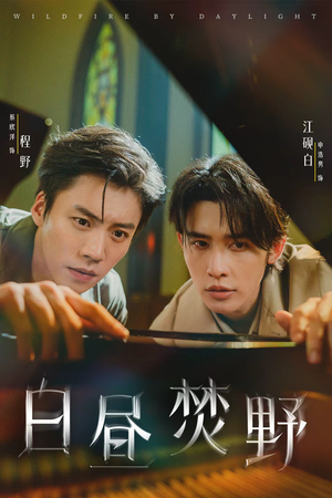 白昼焚野（70集）新短剧推荐