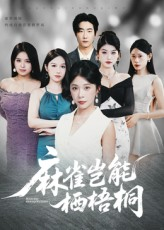 麻雀岂能栖梧桐(31集) 麻雀岂能栖梧桐(31集)红果短剧看全集