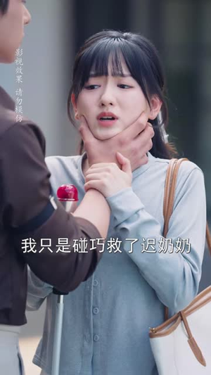 迟先生太太到处跑（73集）好短剧分享