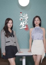 主播的重生（15集）今日最火短剧
