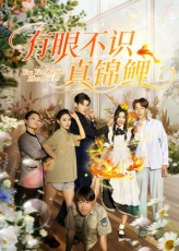 有眼不识真锦鲤（35集）在哪看是免费的