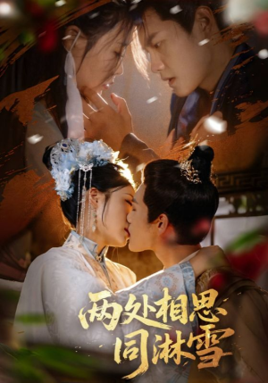 两处相思同淋雪（60集）直接追到结尾