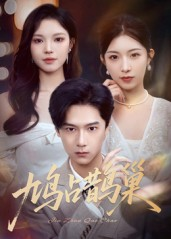 鸠占鹊巢&顶流夫人的致命陷阱（70集）全集我都看完了