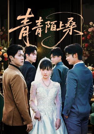 青青陌上桑（70集）短剧有好货推荐