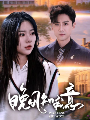 晚风知我意（50集）全集