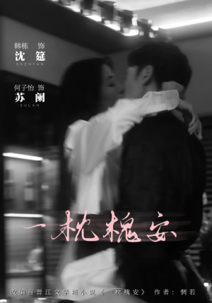 一枕槐安（80集）全网独播免费看