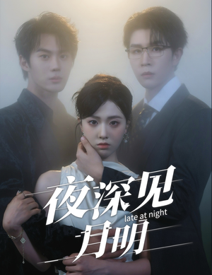 夜深见月明（50集）好看短剧推荐
