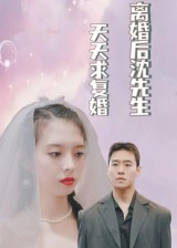 离婚后沈先生天天求复婚（100集）解说
