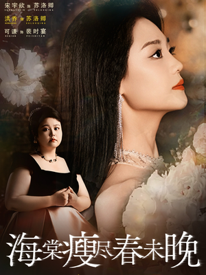 海棠瘦尽春未晚（62集）全集完整版