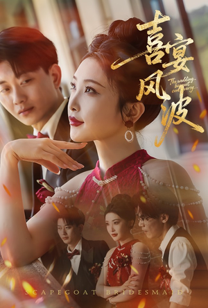 喜宴风波&替罪伴娘（30集）在哪看