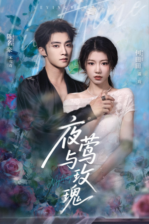夜莺与玫瑰(66集) 夜莺与玫瑰(66集)真的太精彩了