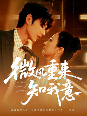 微风重来知我意（62集）全集在线看