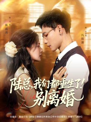 陆总我们都重生了别离婚（79集）UC网盘在线看