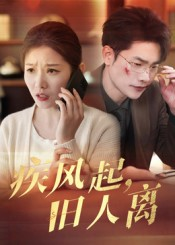 疾风起旧人离（32集）全集