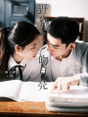 野狗吻月亮（68集）全网独播免费看