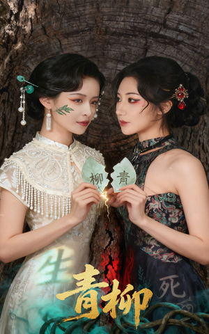 青柳（79集）演员表