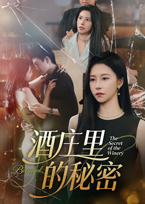 酒庄里的秘密(54集) 酒庄里的秘密(54集)视频在线看