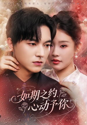 如期之约心动予你（82集）精彩热门短剧