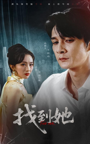 找到她（39集）短剧