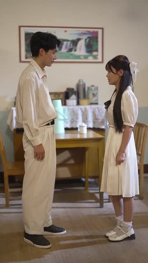 乡野医美 (80集) 全剧免费观看