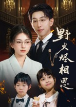 野火烬相思（61集）短剧后续更精彩