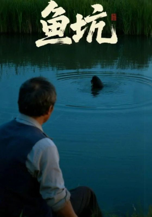 鱼坑（30集）今日短剧分享