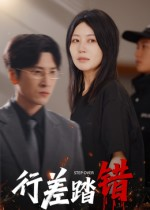 行差踏错（61集）热播短剧全集看