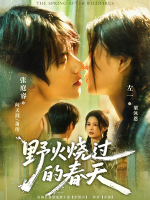 野火烧过的春天（85集）一口气追完短剧