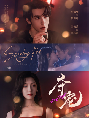 夺宠（88集）在线免费观看