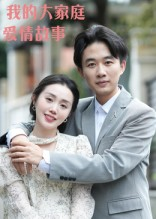 我的大家庭爱情故事（15集）短剧在线观看