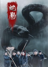 蛇影（25集）夸克在线观看