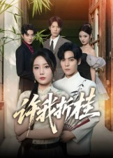 许我折桂（70集）好看短剧看不停