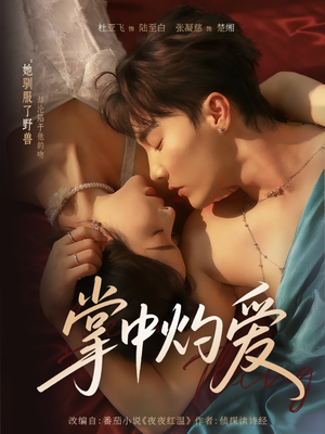 掌中灼爱（62集）火爆短剧来袭