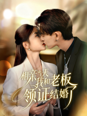 相亲当天我和老板领证结婚了（52集）番茄短剧免费看