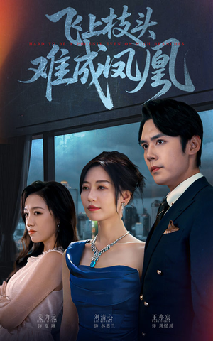 飞上枝头难成凤凰（47集）热播短剧排行榜