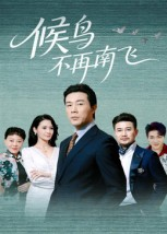 候鸟不再南飞（80集）百度网盘资源