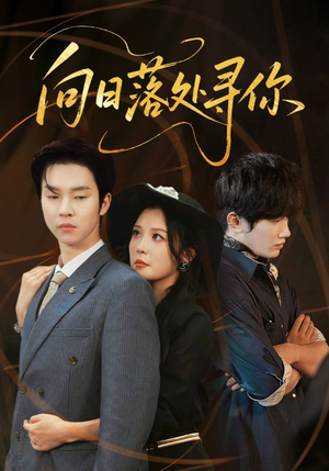 向日落处寻你（70集）大结局太过瘾了