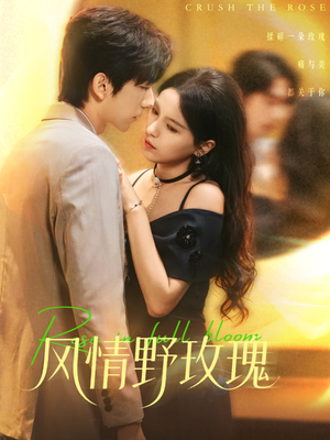 揉碎玫瑰（70集）短剧分享片段