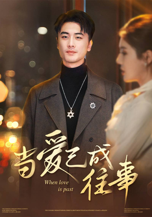 当爱已成往事（30集）短剧演员排行榜