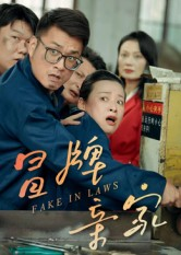 冒牌亲家（30集）最新热剧免费看