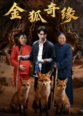 金狐奇缘（42集）完整版