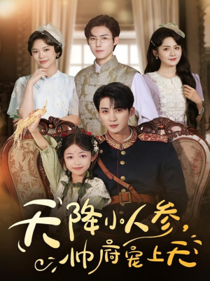 天降小人参，帅府宠上天（83集）最火短剧推荐